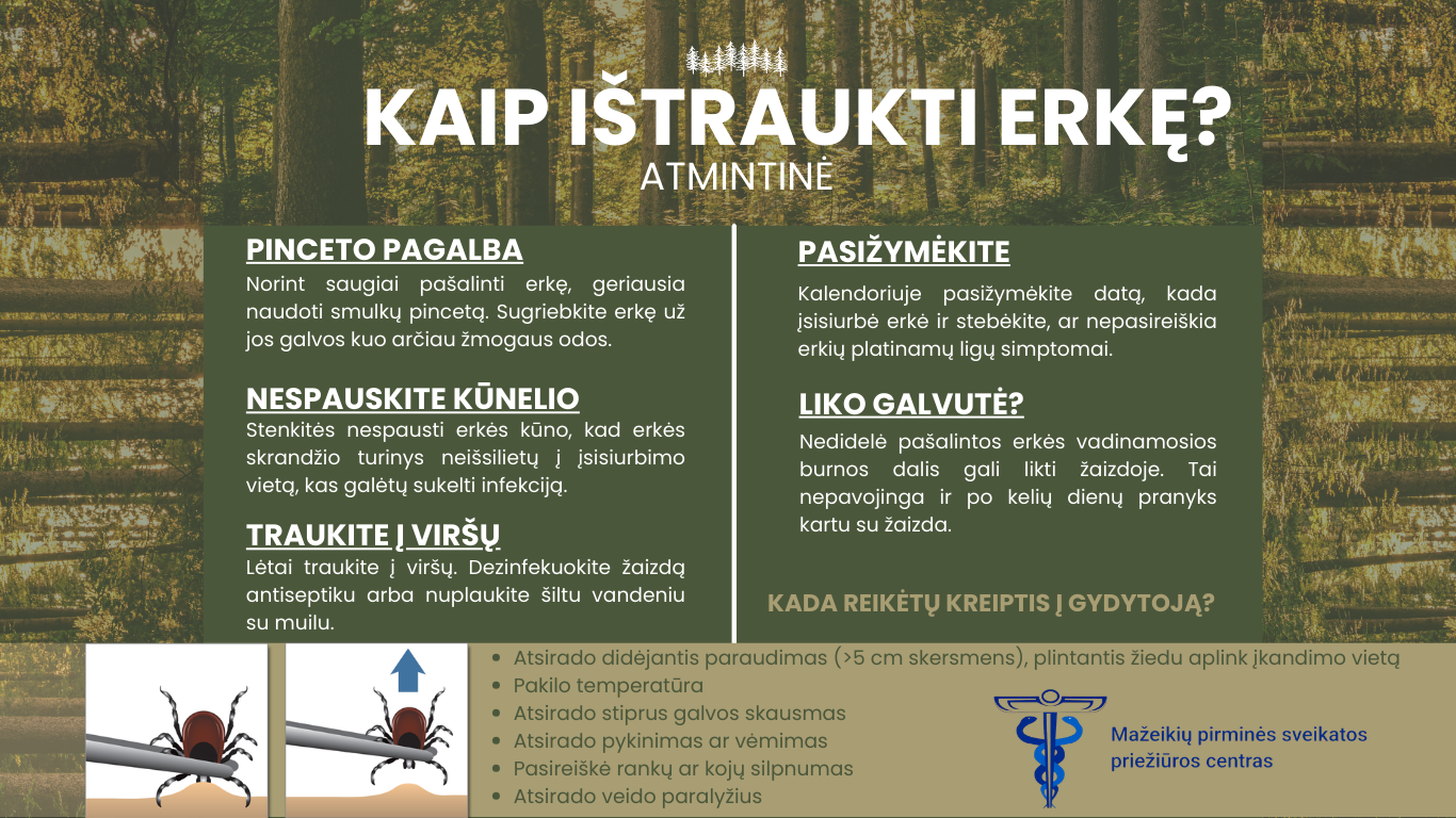 kaip istraukti erke.png